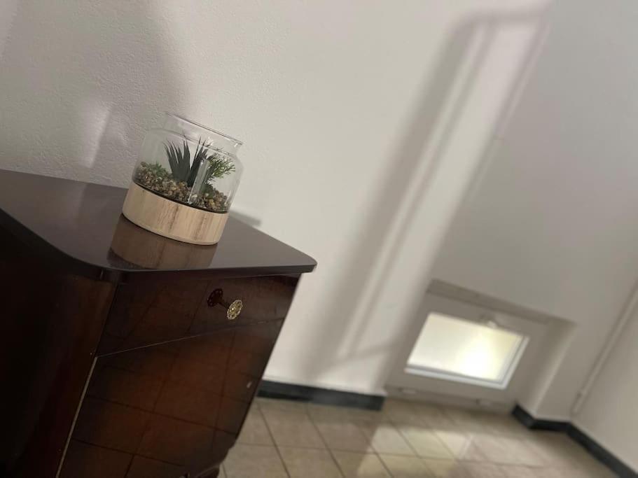 Appartements « La Parenthese » 维桑堡 外观 照片