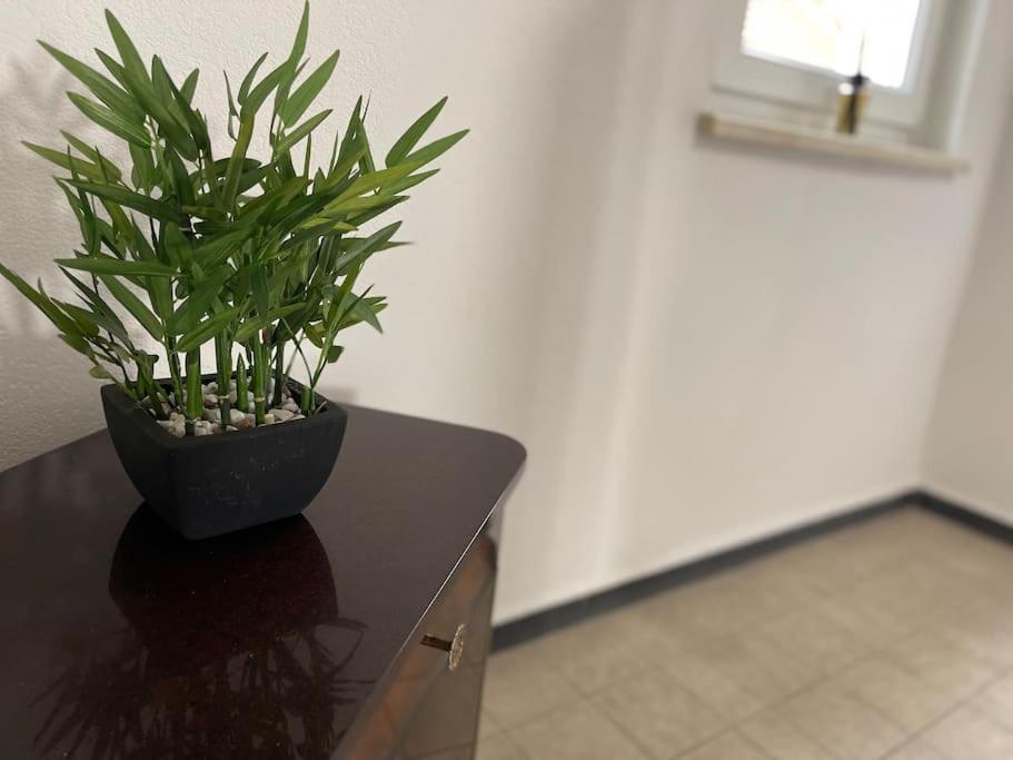 Appartements « La Parenthese » 维桑堡 外观 照片
